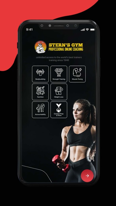 Stern's Gym Screenshot