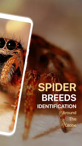Game screenshot Spiders Identifier by Photo ID apk