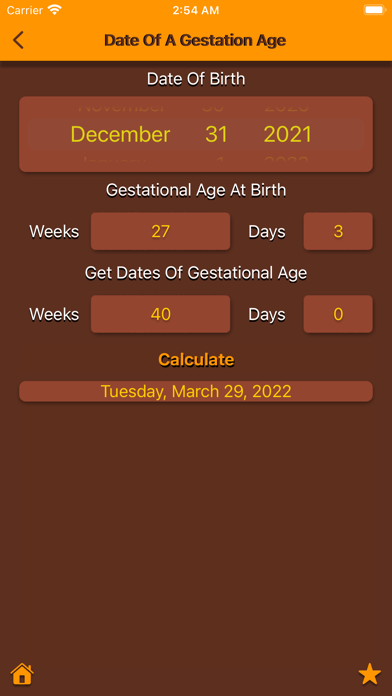 NeonaCal Screenshot