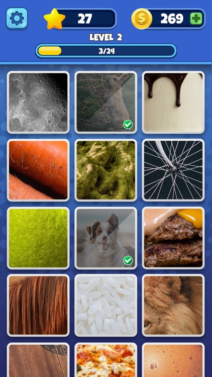 Guess it! Zoom Pic Trivia Game