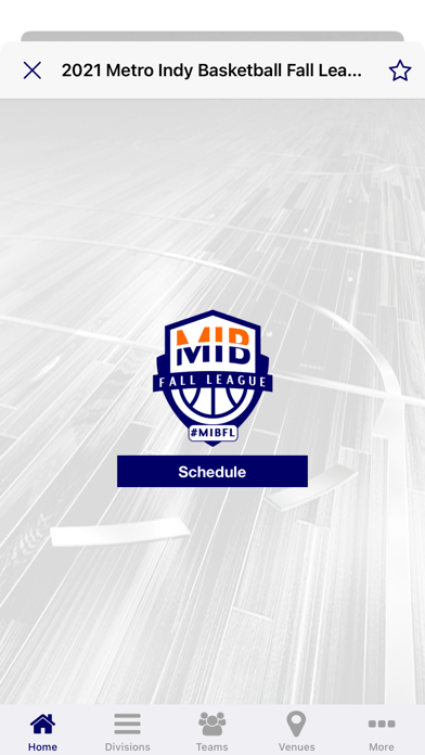 Metro Indy Basketball Screenshot