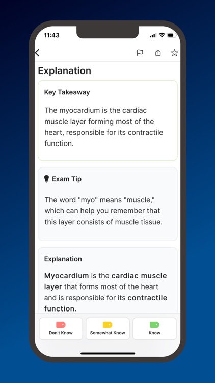 ATI TEAS Mastery - Exam 2024 screenshot-9