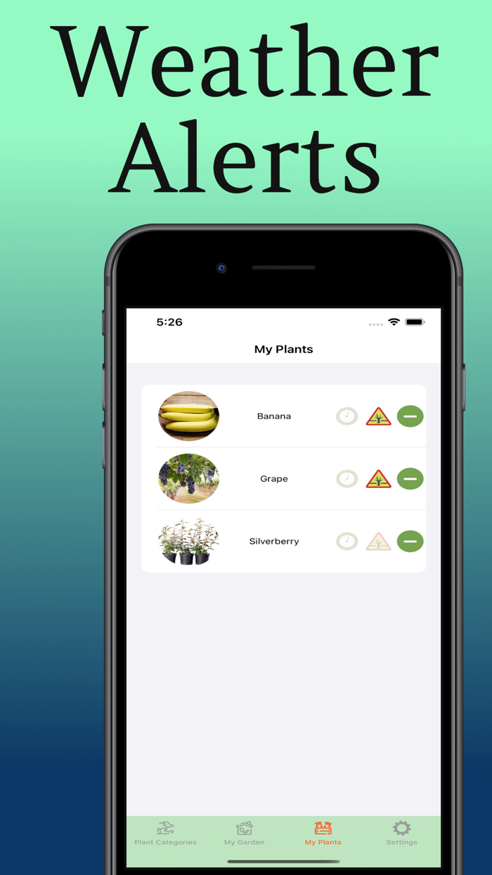 Plant Care Guide and Tips