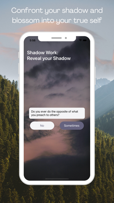 ShadowShift Pro Screenshot