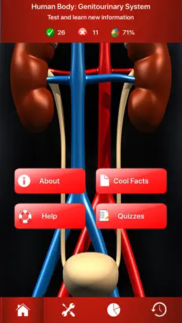 Game screenshot Genitourinary System Trivia mod apk