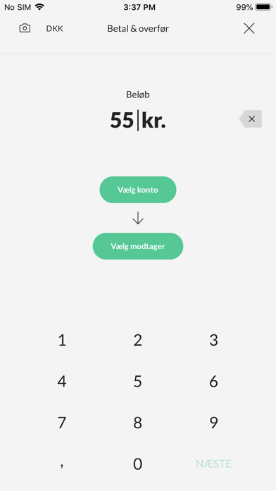 Rise Sparekasse. Screenshot