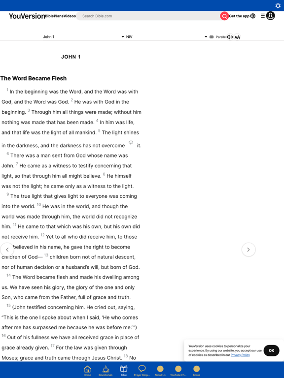 Screenshot #5 pour Sons of the King Daily Devo