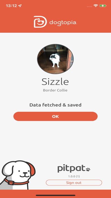 PitPat - Fetch screenshot