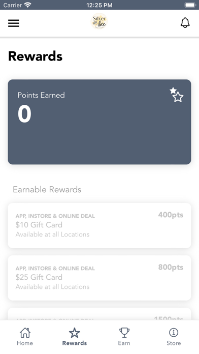 Silver Bee Boutique Screenshot