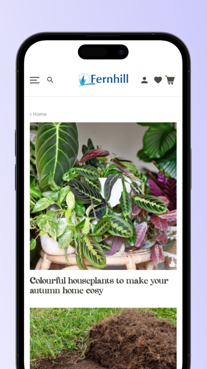 Fernhill Garden Centre