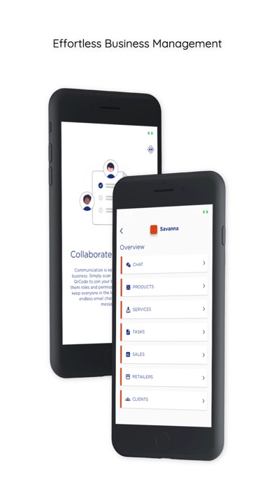 BizBoost Screenshot