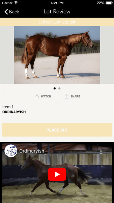 Western Bloodstock Screenshot