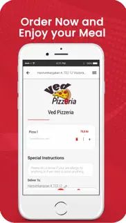 ved pizzeria problems & solutions and troubleshooting guide - 2