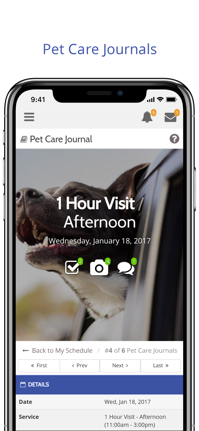 Calling All Dogs and Cats