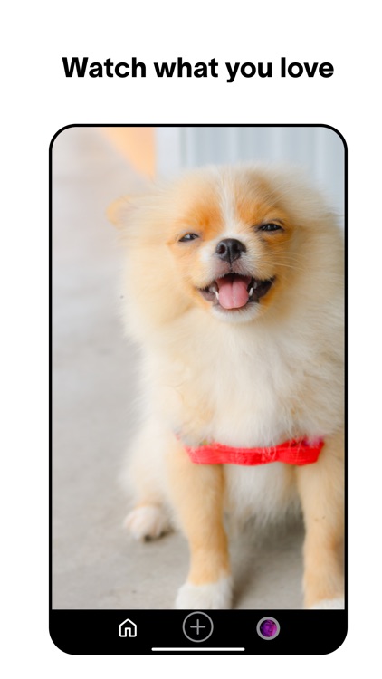 Social - Your Life Your People