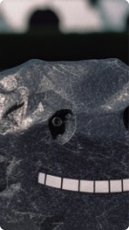 Ventora - Pebble's wonderland