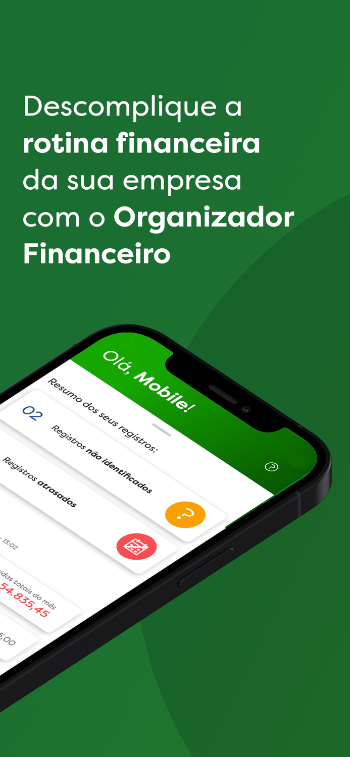 Organizador Financeiro