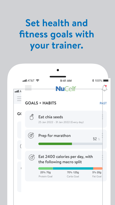 NuCellf Screenshot
