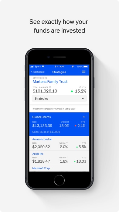 NZ Funds Screenshot