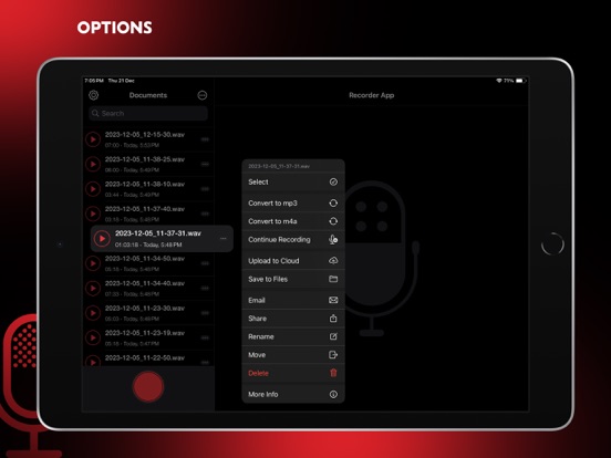 Audio Recorder Pro and Editor iPad app afbeelding 5