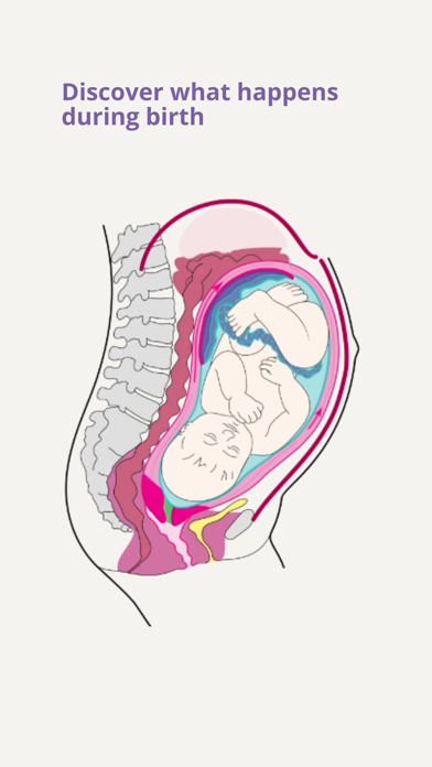 Giving Birth Explained Screenshot