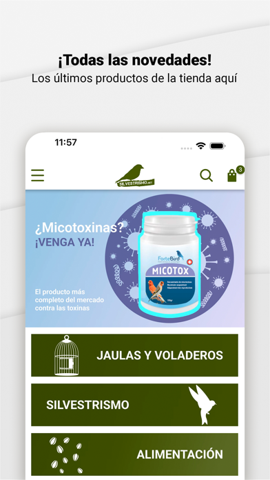 Silvestrismo Screenshot