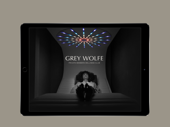 Screenshot #4 pour Grey Wolfe
