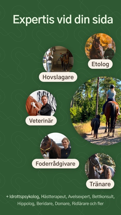HayHay: För häst & ridning Screenshot