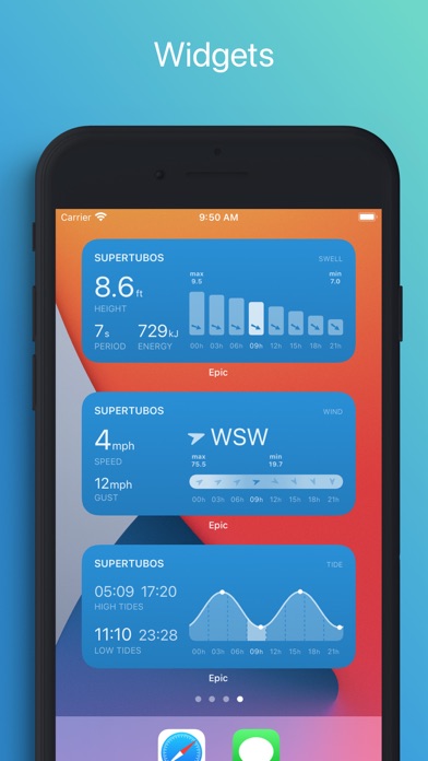 EPIC - Surf Report & Forecast Screenshot