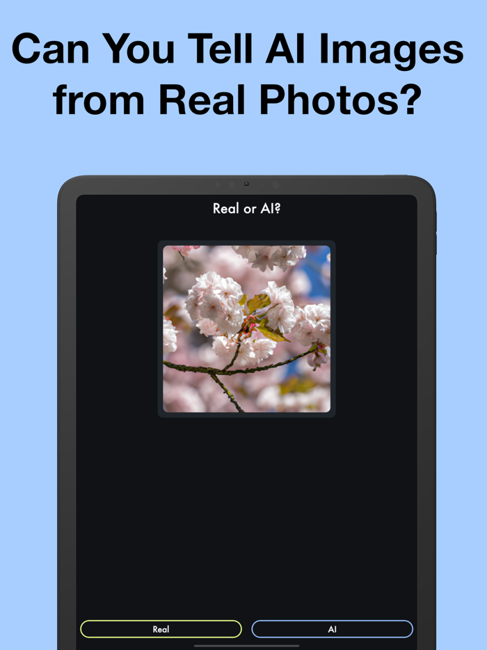 Real or AI Photo Challenge