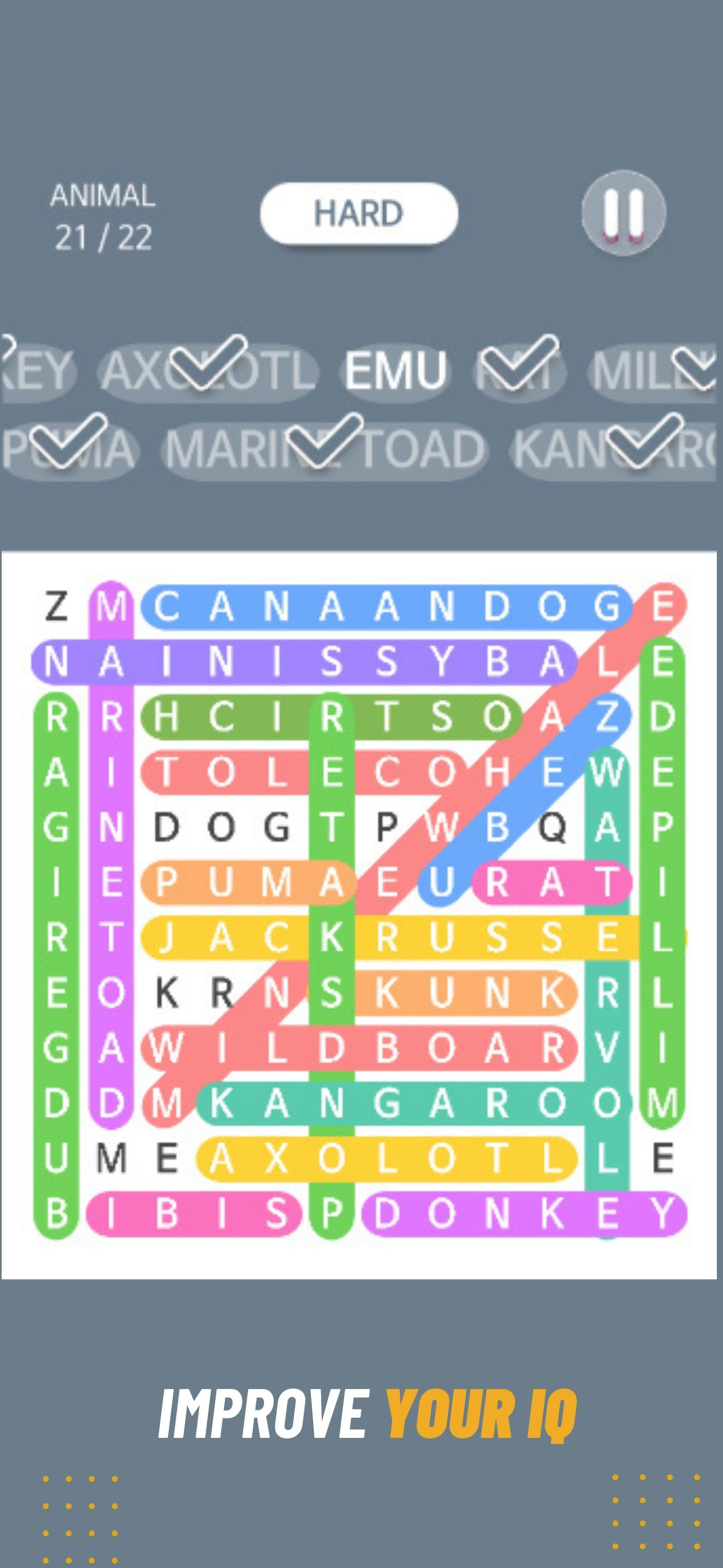 Word Search Finder - Fun Game