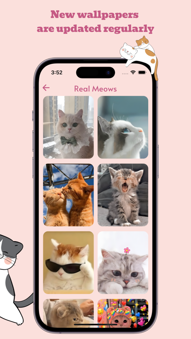 Meow Wallpapers Screenshot