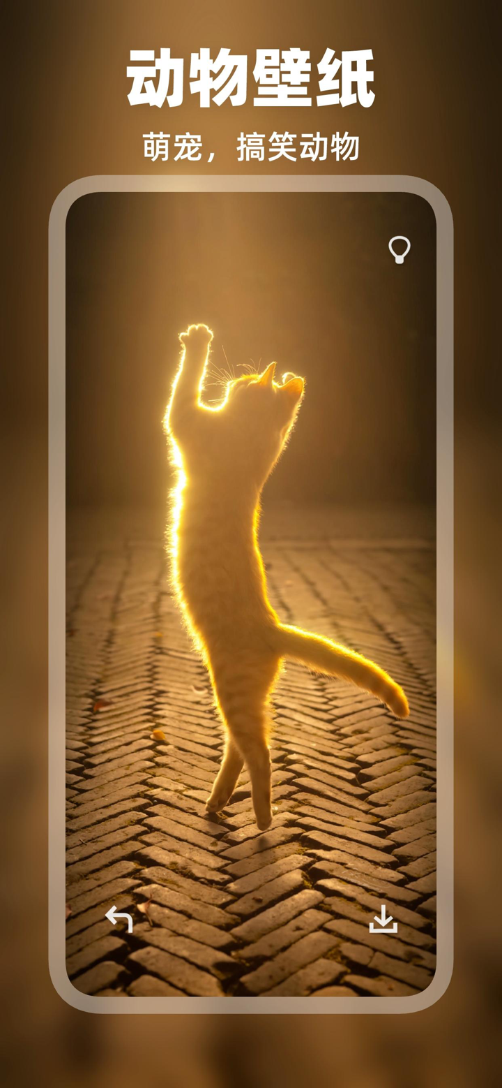 壁纸大全 : 超高清手机主题墙纸大全 screenshot 7