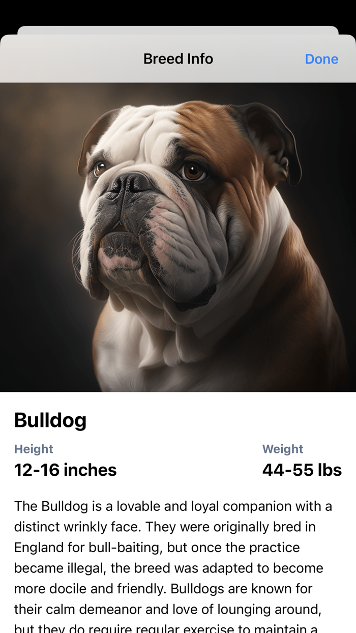 Dog Breeds HQ
