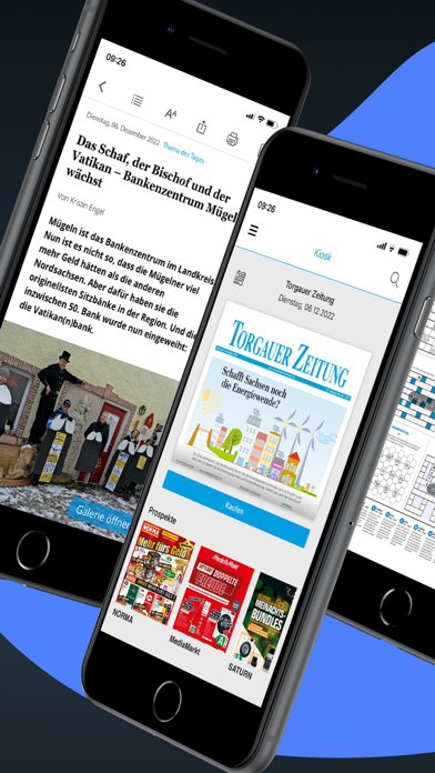 Torgauer Zeitung ePaper Screenshot