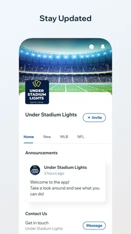 Game screenshot Under Stadium Lights hack