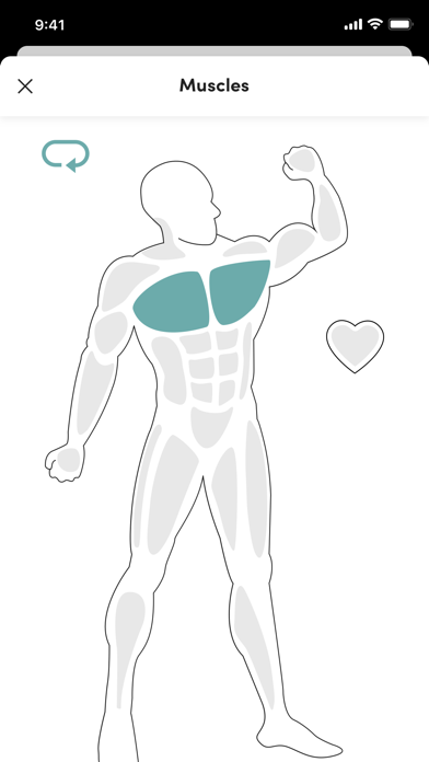 LieverFit Screenshot