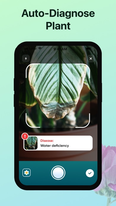 Plant, Flower Identifier&Care Screenshot