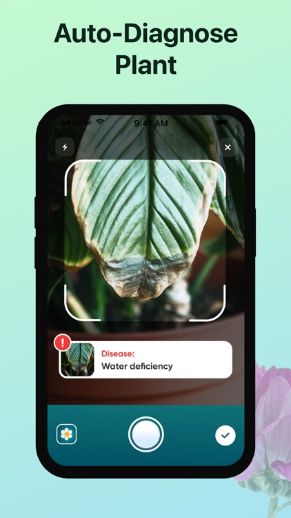 Plant, Flower Identifier&Care screenshot-3
