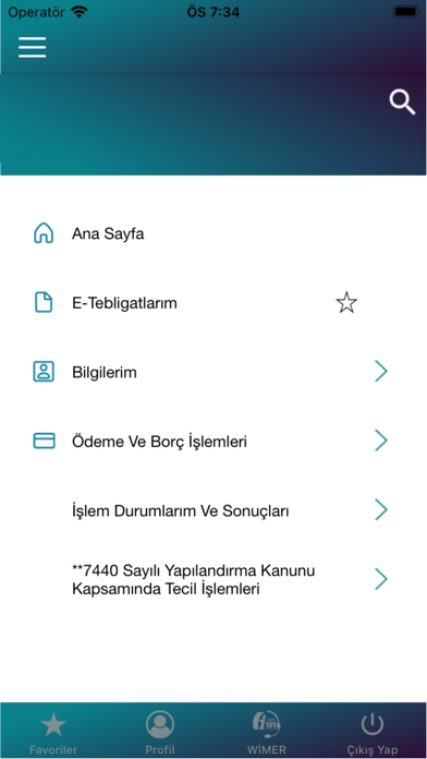 GİB Screenshot