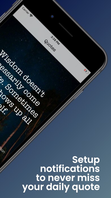 Daily Wisdom Quotes Screenshot