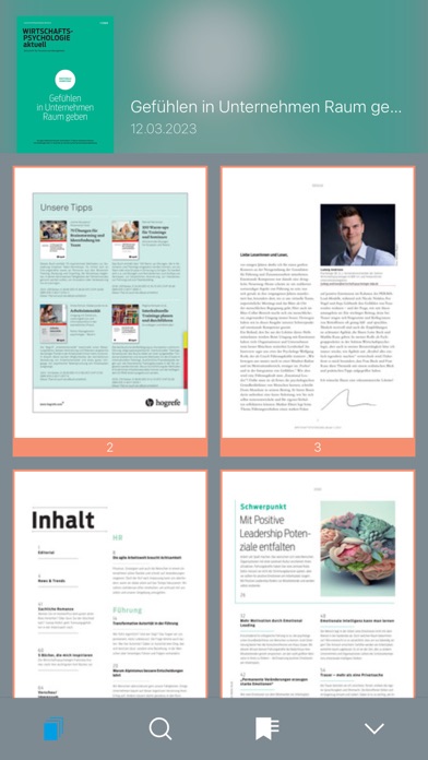 Wirtschaftspsychologie aktuell Screenshot