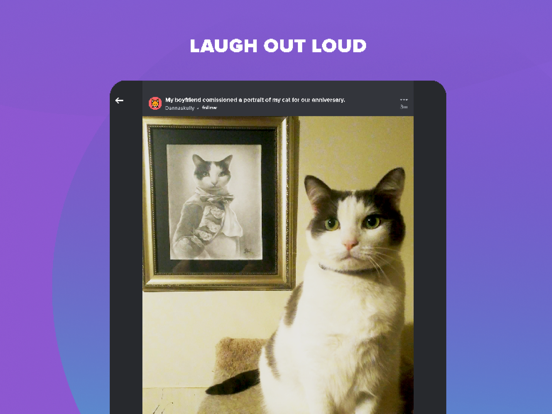 Screenshot #5 pour Imgur: Funny Memes & GIF Maker