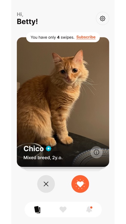 SHERAZI screenshot-3