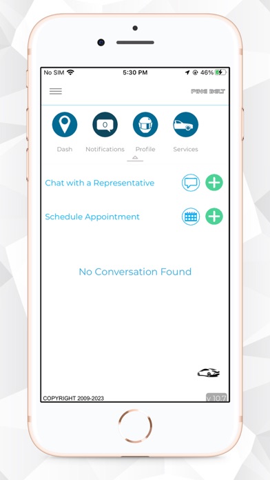 Pine Belt Auto Care Screenshot