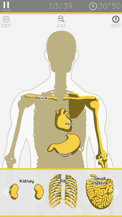 Enjoy Learning Anatomy puzzle Screenshot