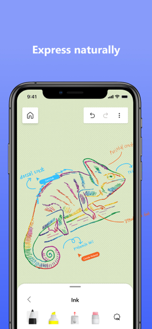 ‎Microsoft Whiteboard Screenshot