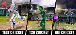Game screenshot RVG Cricket Game: Cricket Lite hack
