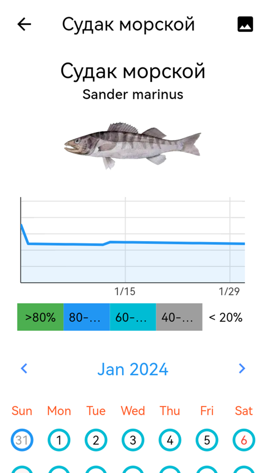 #6. Fish Planet Calendar (iOS) 由: Web and Print