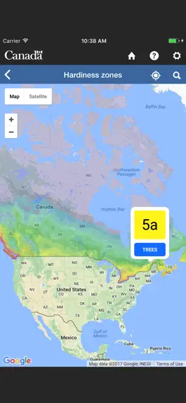 Game screenshot My Tree hack